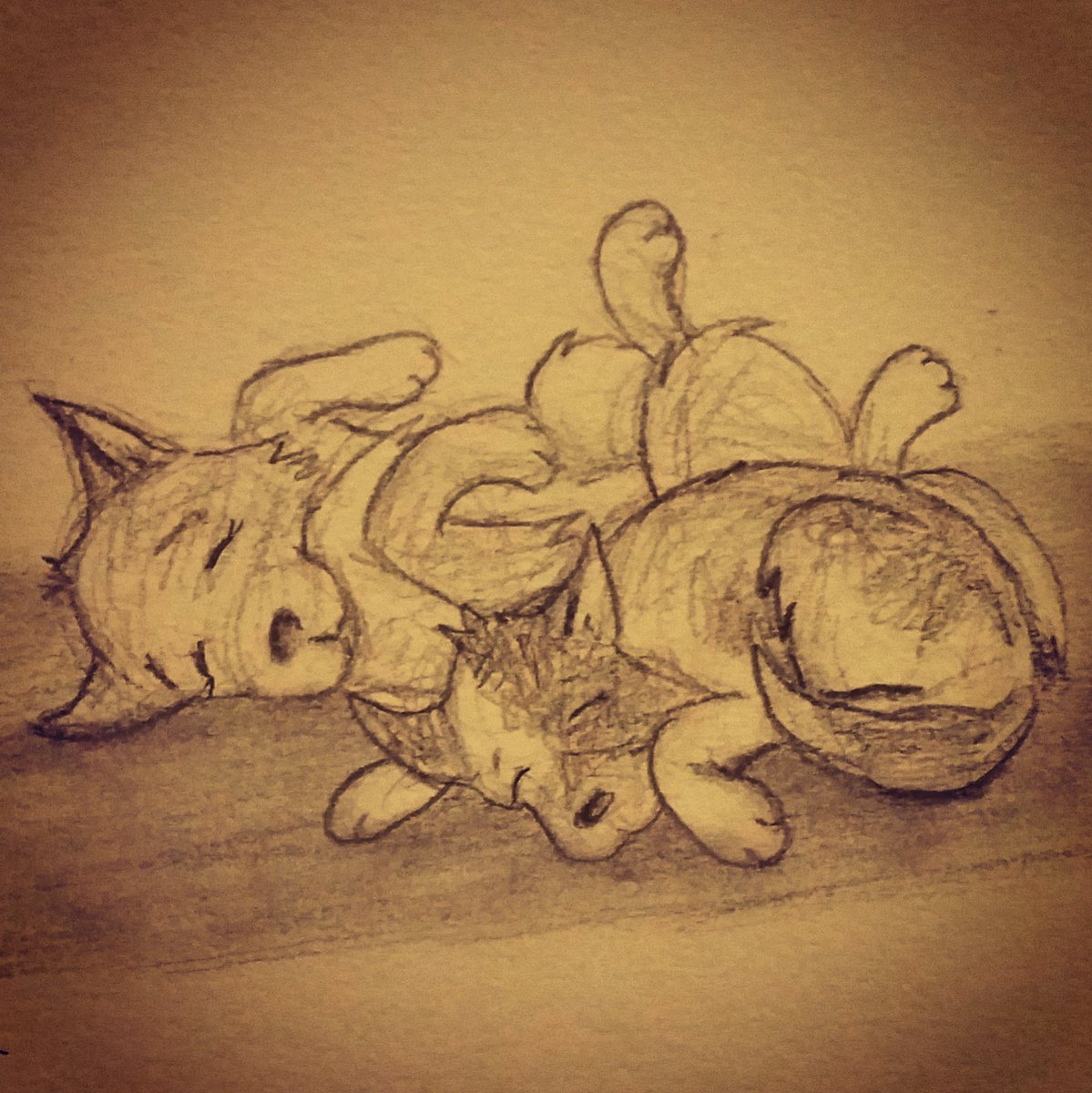CaraBCreative's tweet photo. After day 1 of #Rolex2016 #rolex3day #Kentucky #illustration #SKETCH #drawing #art #kidlitart #dogsoftwitter #sleep https://t.co/KlYYj5KJUq