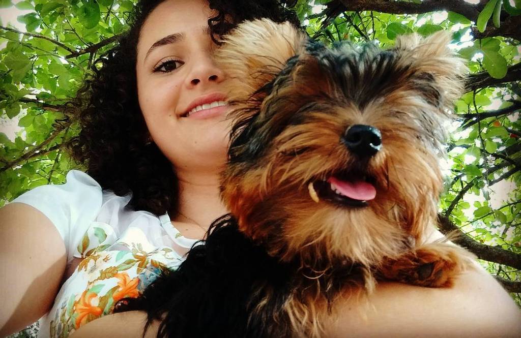 kareenRramirez's tweet photo. 🐶😍💛 #yorkshire #apessoa #naotem #como #nao https://t.co/mJjgMYx61D