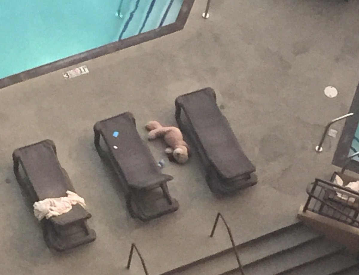 THIS is why stuffed animals should not be allowed to drink alcohol!! #Epidemic 
#ViewFromMyWindow