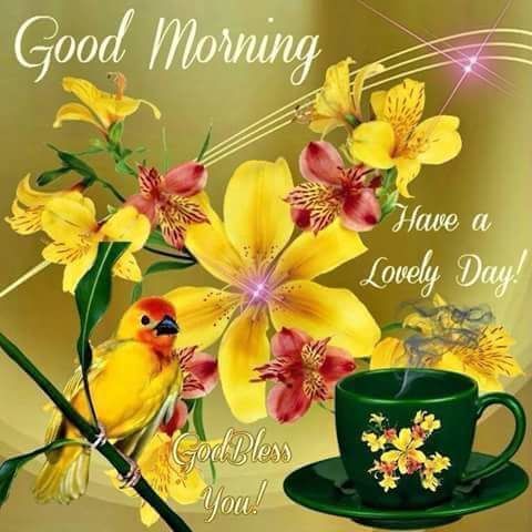 DreamAuto2's tweet image. 