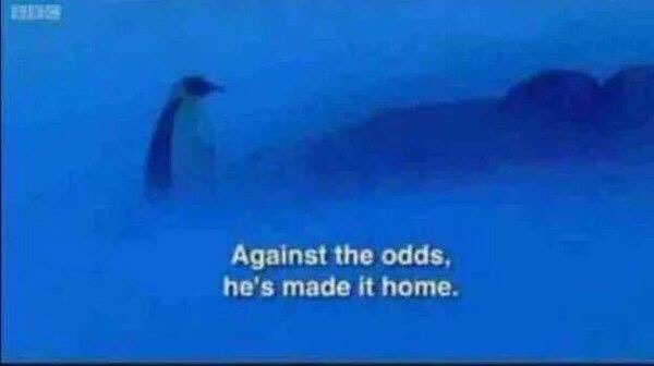 CauseWereGuys's tweet photo. After everytime I go out https://t.co/EUWQC2V0x3