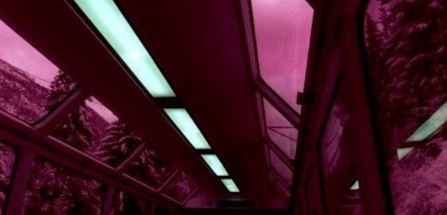 deep_aesthetics's tweet photo. Cherry. https://t.co/SAvxDFr3ti