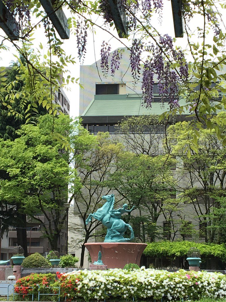 赤羽公園
ツツジと藤が見ごろです♡