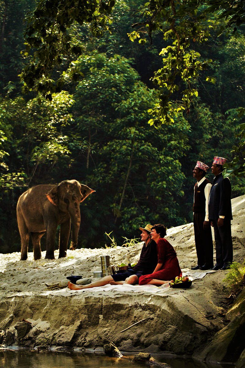 Guests enjoying the sights of the jungle, while in the background an elephant is enjoying the sight of them!
