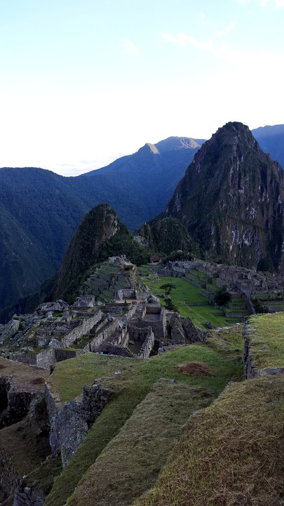 Landie Greyling tweet media