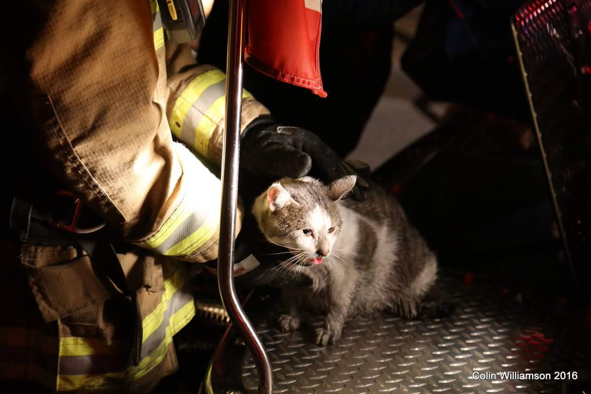 ColinWxchaser's tweet photo. bedroom fire 191 nonqoun Oshawa 1 cat rescued and giving oxygen by Oshawa Fire Services https://t.co/Ajfa93GiZb