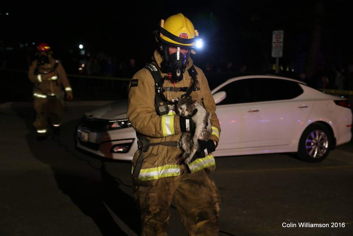 ColinWxchaser's tweet photo. bedroom fire 191 nonqoun Oshawa 1 cat rescued and giving oxygen by Oshawa Fire Services https://t.co/Ajfa93GiZb