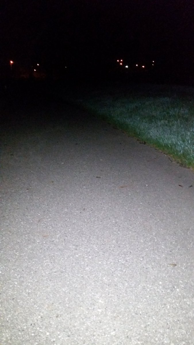 FenwickFluff's tweet photo. Nothing quite like responding to late night gunshots in the park.
Luckily we did not find a casualty
#OnlyInFlint https://t.co/TgywyCV2Ls