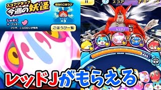 三浦tv 三浦tv