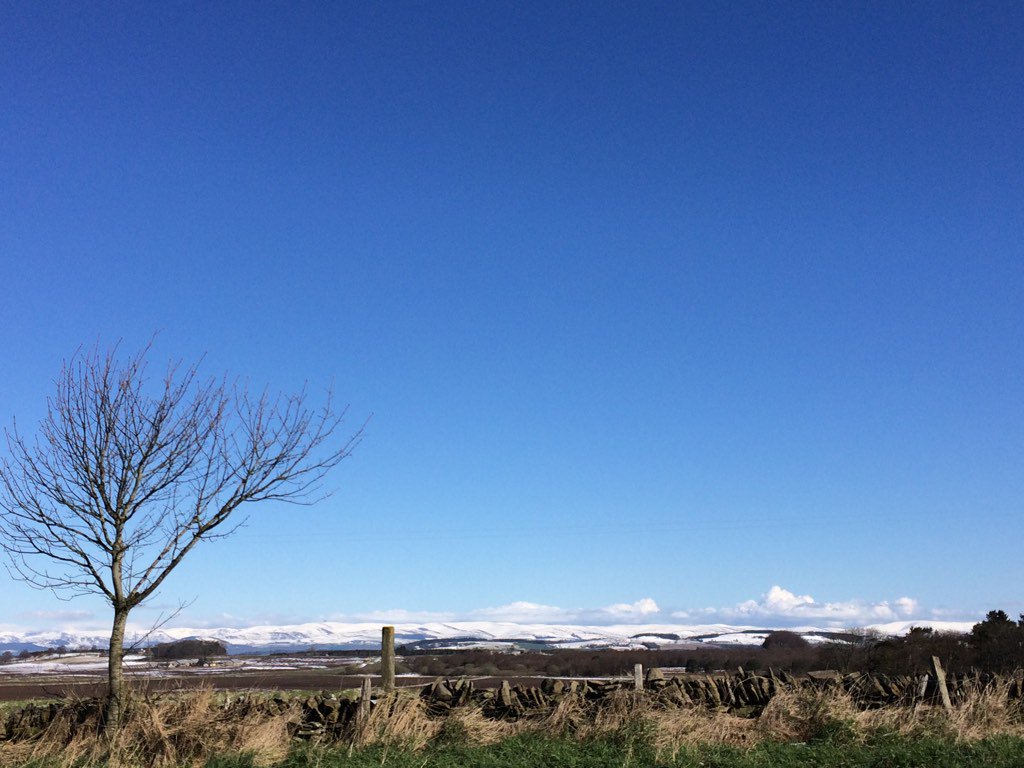fleurrbie's tweet photo. Blue skies!!! What a difference a day can make! #Springreturns #flingwithspring x https://t.co/hV07rf8eJb