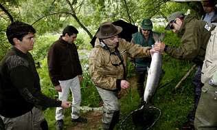 AreaSantiagoTmo's tweet image. Comienza la temporada del #salmón ¿has reservado tu coto? ¿Vas a pescar el #campanu del Ulla? #pescadeportiva