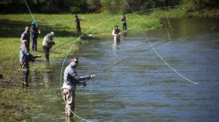 AreaSantiagoTmo's tweet image. Comienza la temporada del #salmón ¿has reservado tu coto? ¿Vas a pescar el #campanu del Ulla? #pescadeportiva