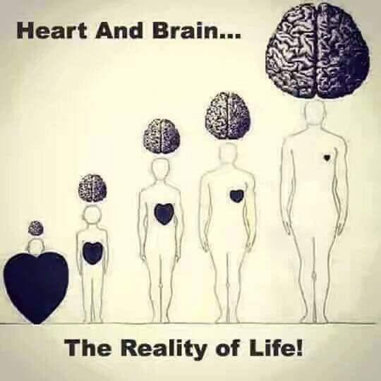 DrShadyJo's tweet photo. https://t.co/97UUDFDU9W