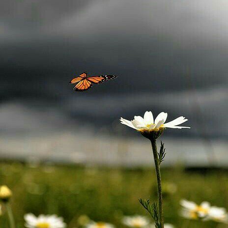 Design_98's tweet image. 