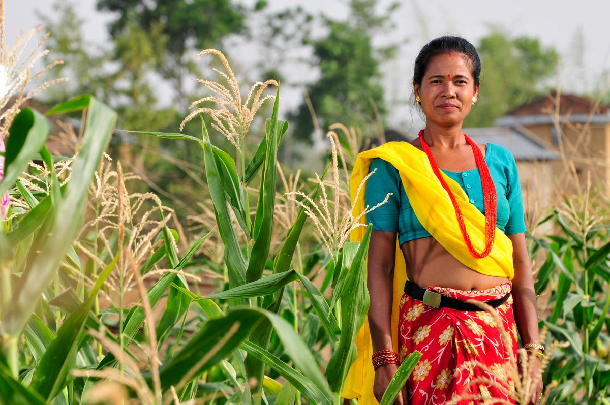 CMNUCC's tweet photo. Las mujeres son clave en #CambioClimatico y #FinanciamientoClimatico https://t.co/ZLZs30YYxE @GCF_News @ONUMujeres https://t.co/JtkFdZIMgf