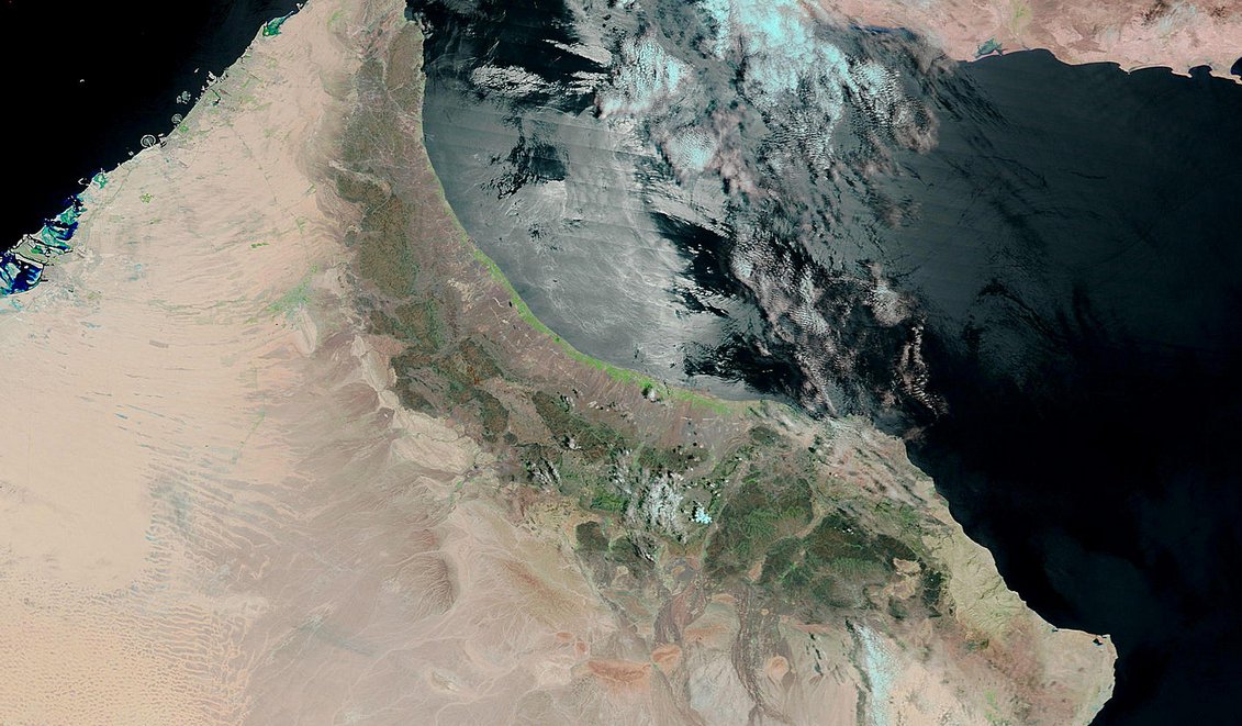 Arabmet's tweet photo. نتيجةلإستمرار أمطارالخير خلال الأشهر الفائتةلايزال شمال #عمان مغطى بالغطاء النباتي بشكل واسع مقارنة ب2015 ولله الحمد https://t.co/B58RlomBe6