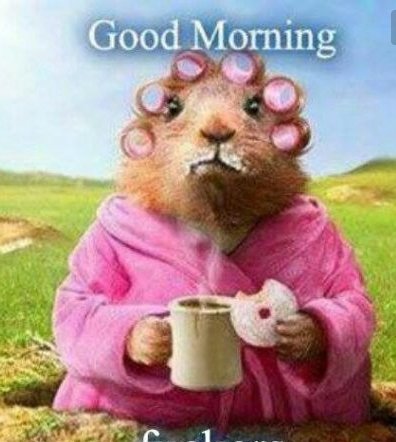 Labrīt šo rītiņ, šo burvīgo rītiņ!
Šovakar ballīte kopā ar DJ Relax&amp;Beatmash! Sākums plkst.22.00, ieeja bez maksas!