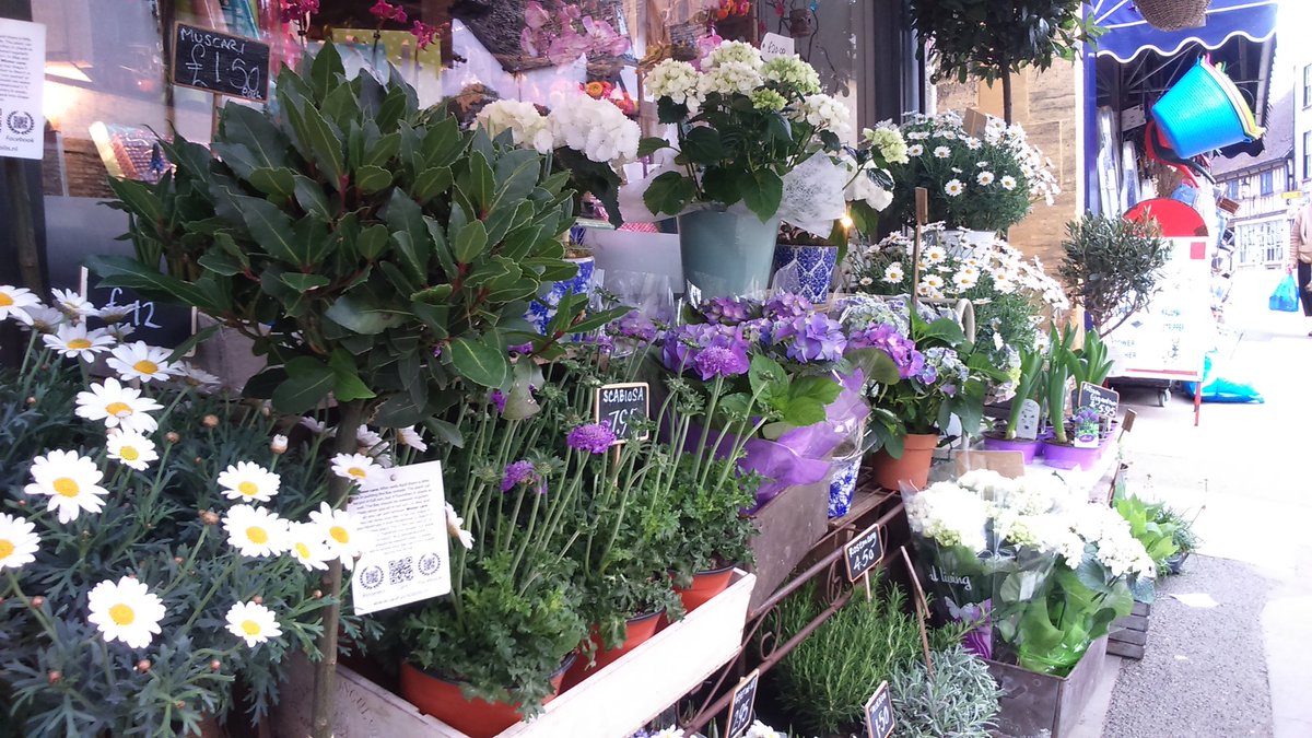 Wcombeflowers's tweet photo. Bank holiday time for some gardening perhaps.   Come as see our beautiful flowers. #flowers #Winchcombe #plants https://t.co/V96NvOpgDv