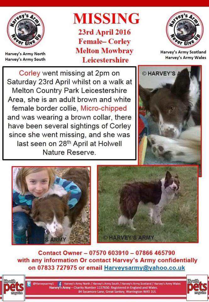 heifer666's tweet photo. @DogsLostNFound @DogslostUK #helpfindcorley https://t.co/URkHyeZXHB