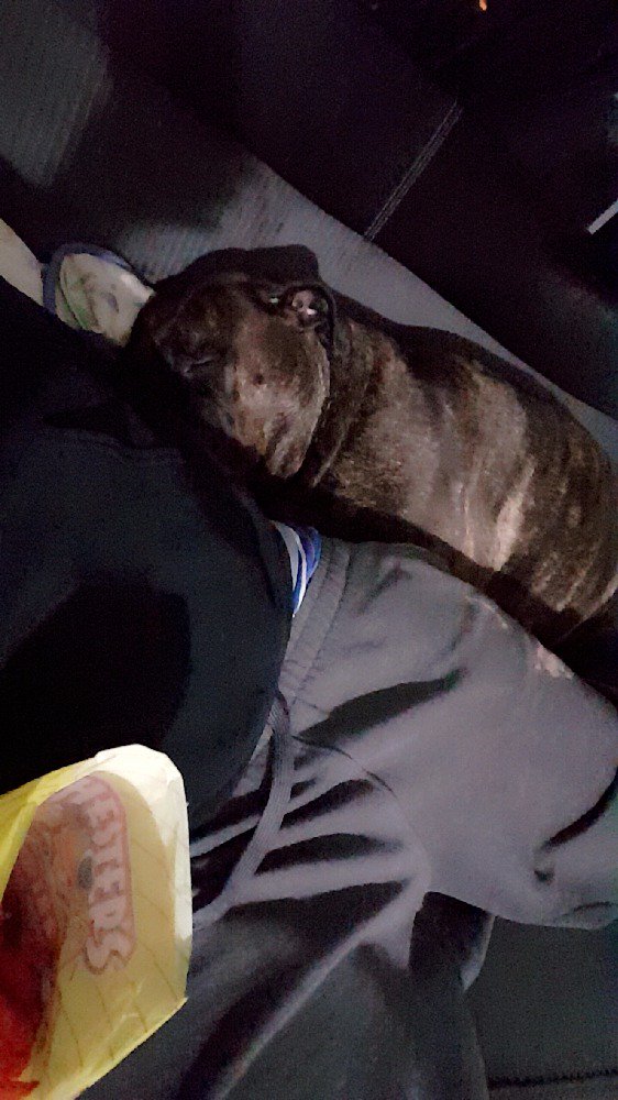 StepDaddyDom's tweet image. My baby 😍💕 #Reny