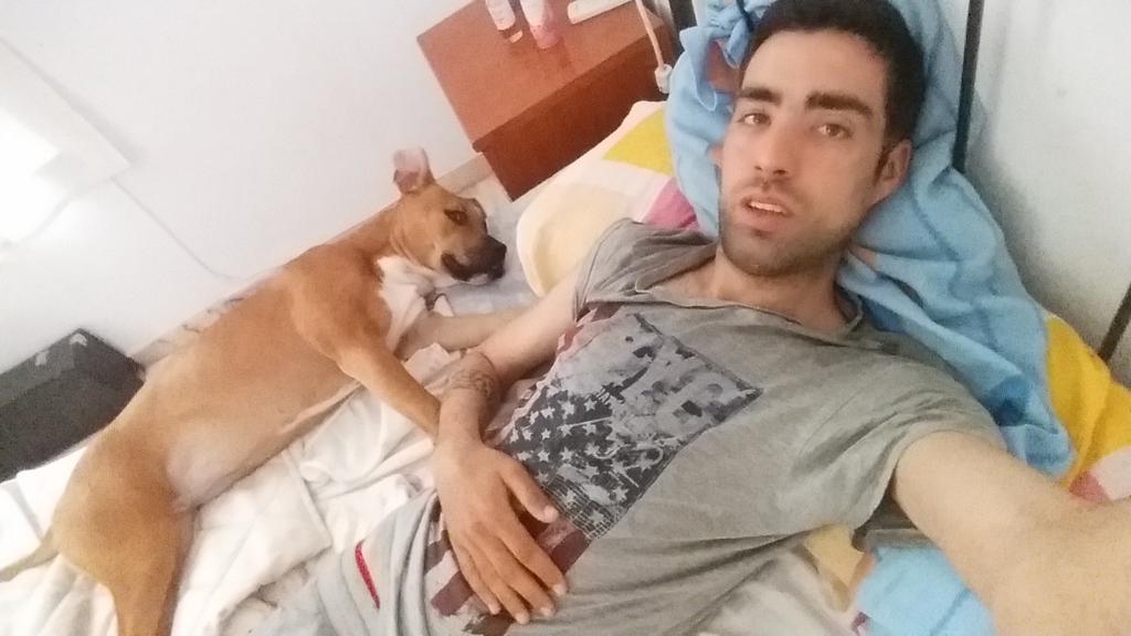 sauldominguez5's tweet photo. Buenos dias perrunos!!🐶🐶👑 https://t.co/I52DBkpENC