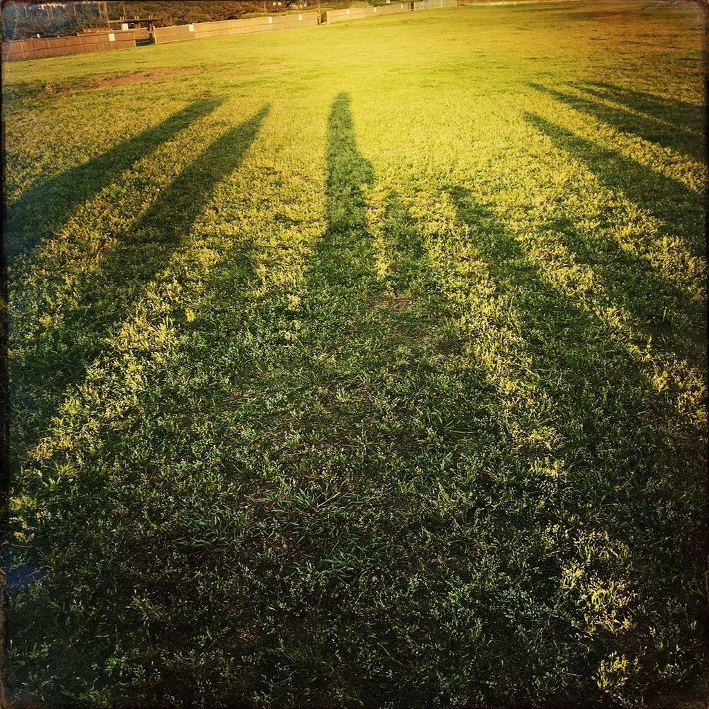 hype_studio's tweet photo. #Hipstamatic https://t.co/oaMgSEDXcp