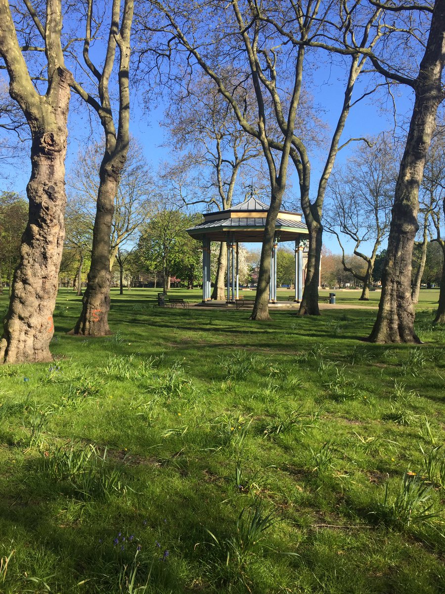 lollycockerspan's tweet image. #coolspring