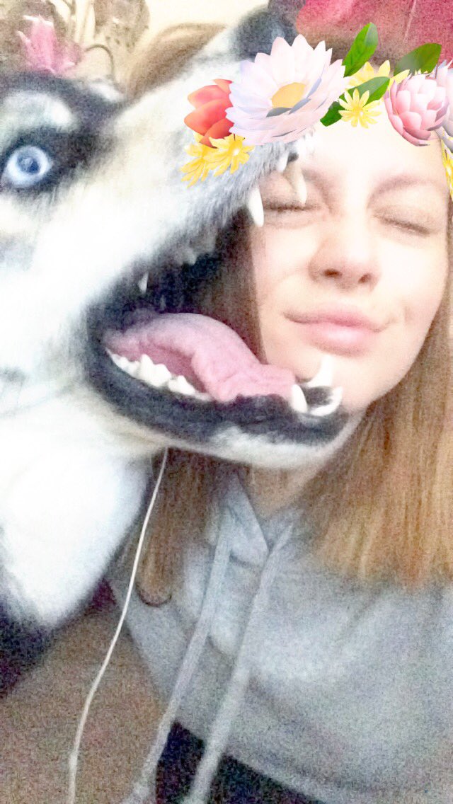 VikDemonstrator's tweet image. I love my dog 💕💕