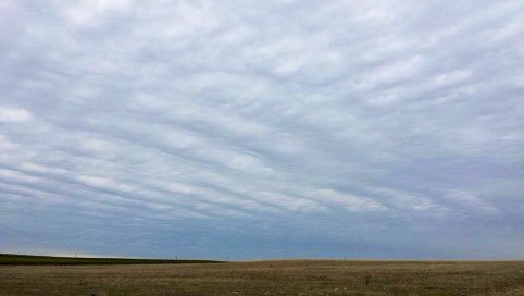 OpChemtrails's tweet image. "The sky looked like this when I was a kid", Said no one, ever.   #Sky #OpChemPBA