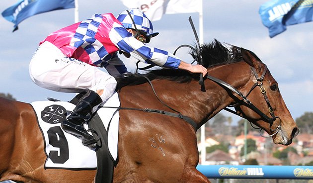 Racing's tweet photo. "He's an absolute competitor." Matthew Dale praises stable star. https://t.co/bfsVXaufkT https://t.co/cnEeCBVfzn