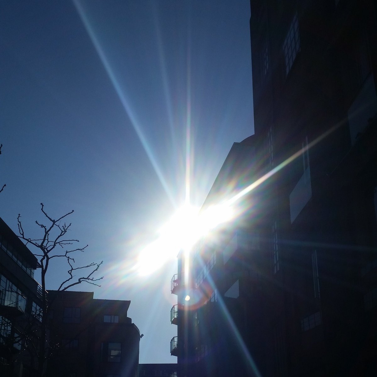 vonStrunckel's tweet photo. Good morning from #KingsCross - went down to take a photo of #MrsSwan then turned around to see this! https://t.co/8Pv9L3BgmM