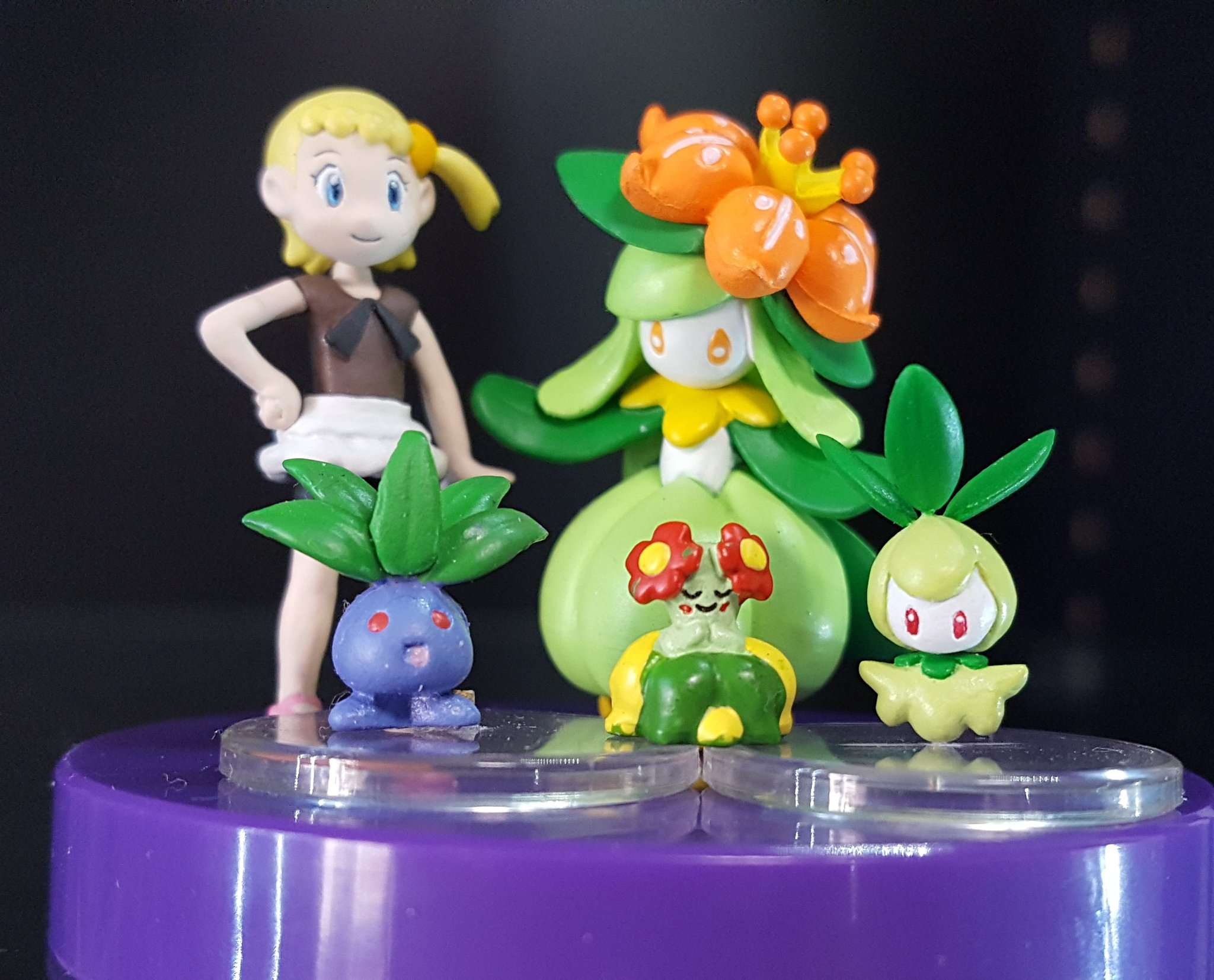 すくなめ V Twitter 立体ポケモン図鑑チュリネ ドレディアです チュリネはフルスクラッチですが ドレディアはポケセン販売のストラップを流用し 穴抜け部分埋め 塗装にとどめてます 40分の1スケールのポケモンフィギュア作って立体ポケモン図鑑補完しようぜ