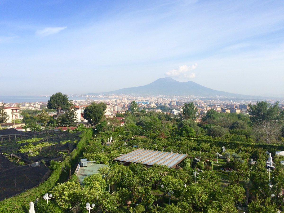 bonser_rich's tweet photo. Infinite Serins & Sards singing, Mt Vesuvius in the background plus early morning warmth #notbritain https://t.co/GYDuYz8wAN