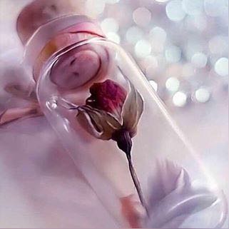 ue_jjs tweet picture