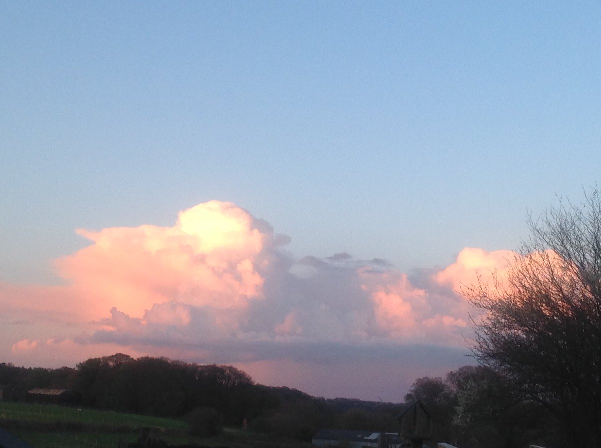sampoppy71's tweet photo. Sam Adams @respectorganics "#Art Garden #Studio #powerful #clouds full of #pastel #shades over #Wincombe #wiltshire https://t.co/zoF7nUHfGa
