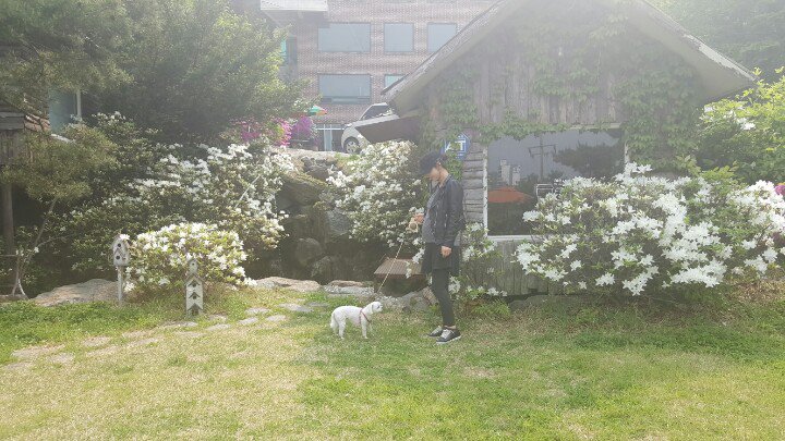 misoeunmi's tweet photo. 잘있었니?  #그립더라...ㅎ
마지막.. #나들이....
#괜찮을거야 #떨리고 #설레임
#막달은 너므흐.. 버겁네ㅎㅎ
#힘내자 https://t.co/r3f17GqCTs