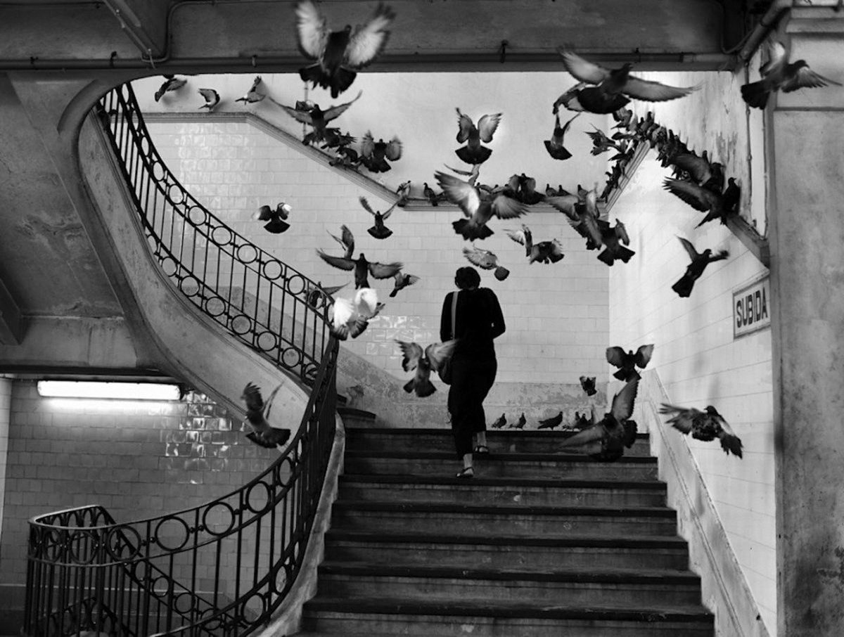 SmiletoLifewith's tweet photo. Lover of Beauty by Henri Cartier Bresson https://t.co/AVLz7YpMaN