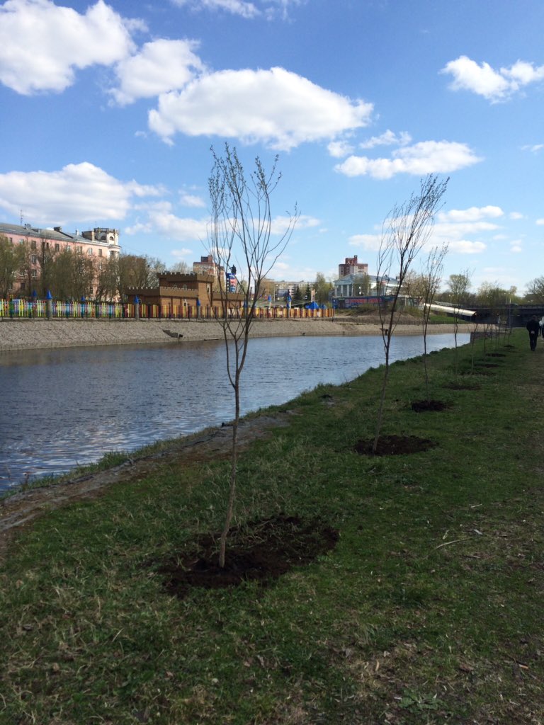 ivanovoobl's tweet image. Сегодня субботник. Губернатор @P_Konkov37RUS и члены правительства высадили ивы на набережной Уводи в #ivanovo
