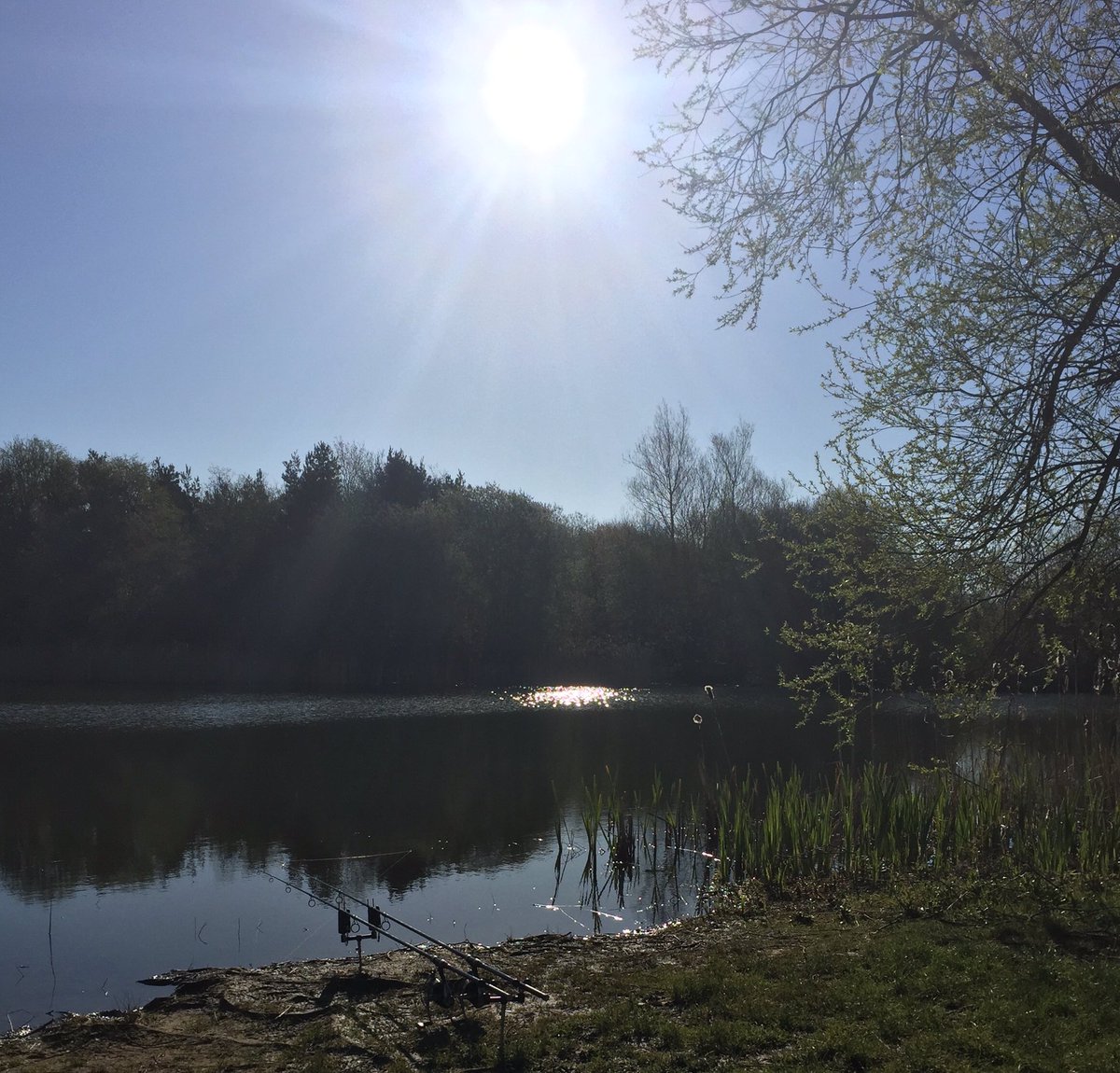 MissionToFish's tweet photo. The only place to be..... #catchthecarp #bivvy up #bank holiday https://t.co/cxt6NBE9lh