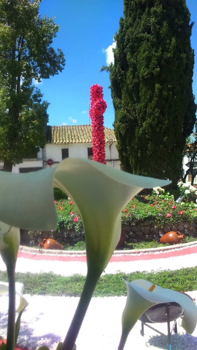 jjcf66's tweet photo. 500 flores de goma Eva, kilos y kilos de grava, serrín, romero y lentisco, toneladas de ilusión. https://t.co/0buvl8Ce1p