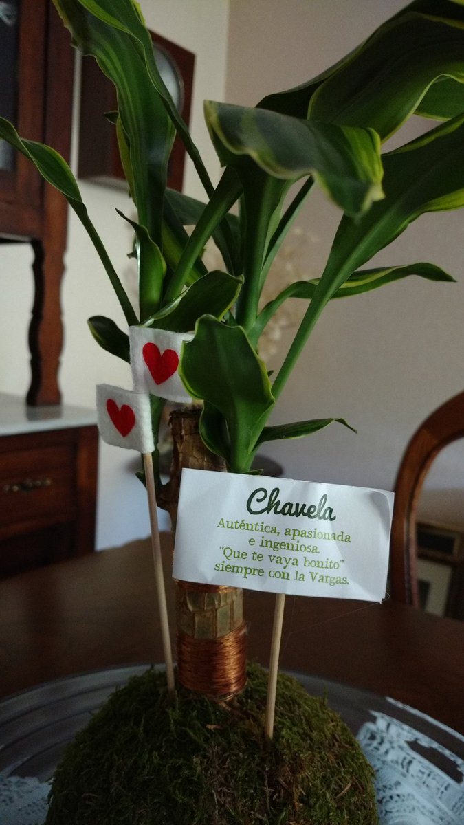 Preciosa "Chavela" de <a href="/KokedamaSoul/">Kokedama Soul</a> para mi preciosa Mamá #díadelamadre