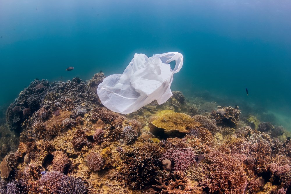 6 ways to give back to the ocean #3: Reduce your plastic use. shout.lt/bzC6m