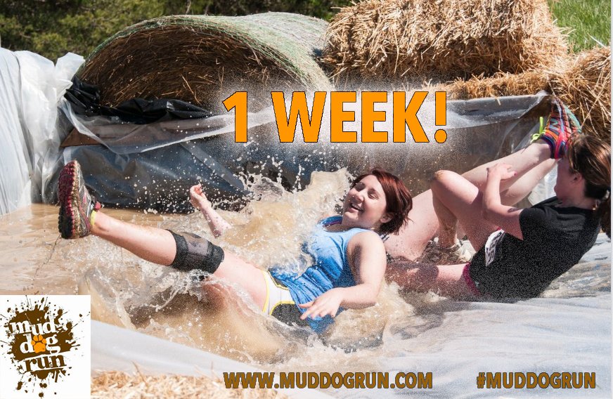 muddogrun's tweet image. We're almost ready to make a splash in #Maryland! 💦

#Mudrun #Muddogrun