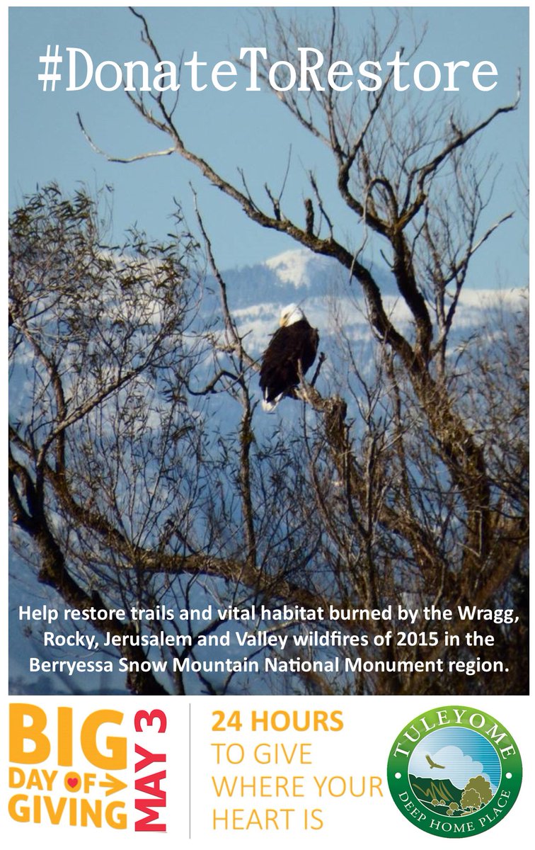 tuleyomeorg's tweet photo. 3 Days to Go!  #DonateToRestore to @Tuleyomeorg on the #BIGDOG2016 See: https://t.co/i2Q2PgIh4D https://t.co/9gEuwnpZsU
