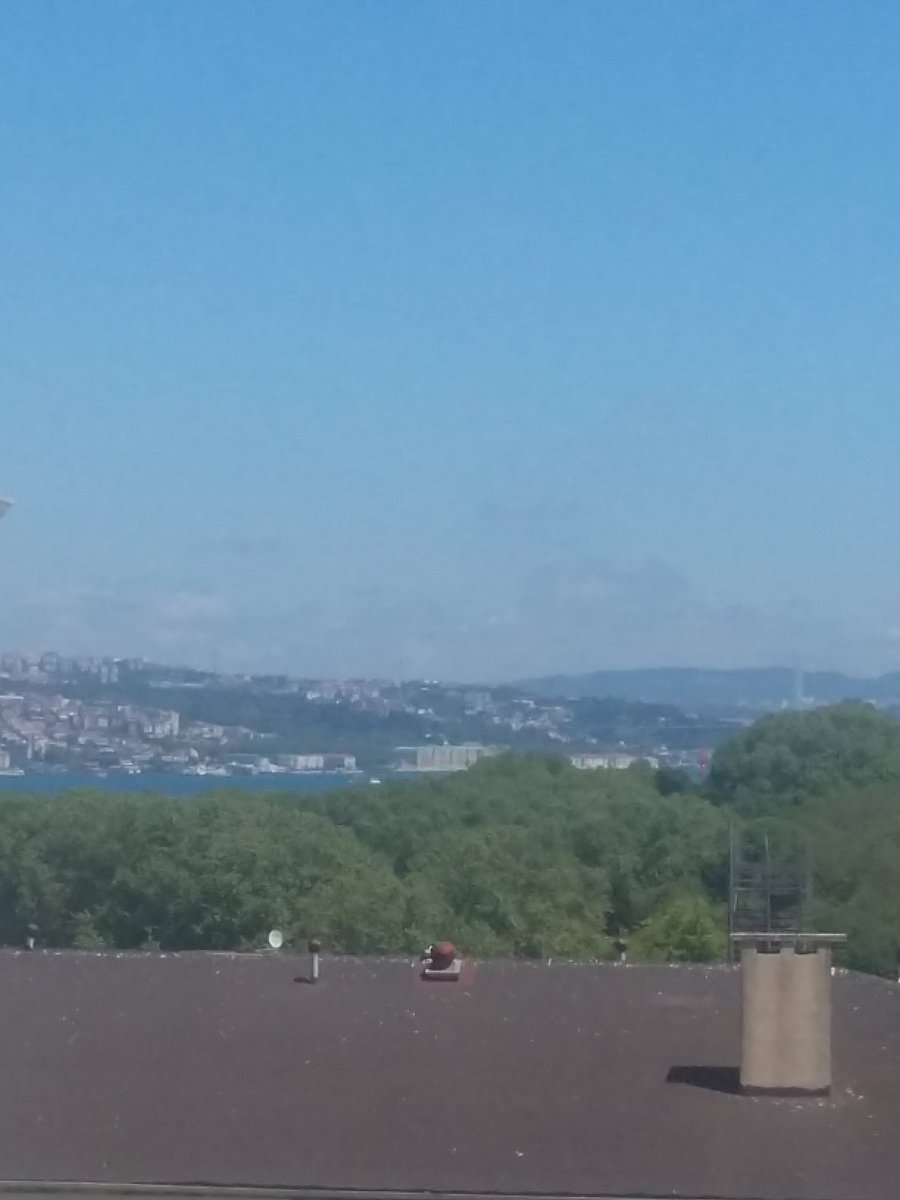 Ben bir sana, bir bu şehre;...
____Gül dedim