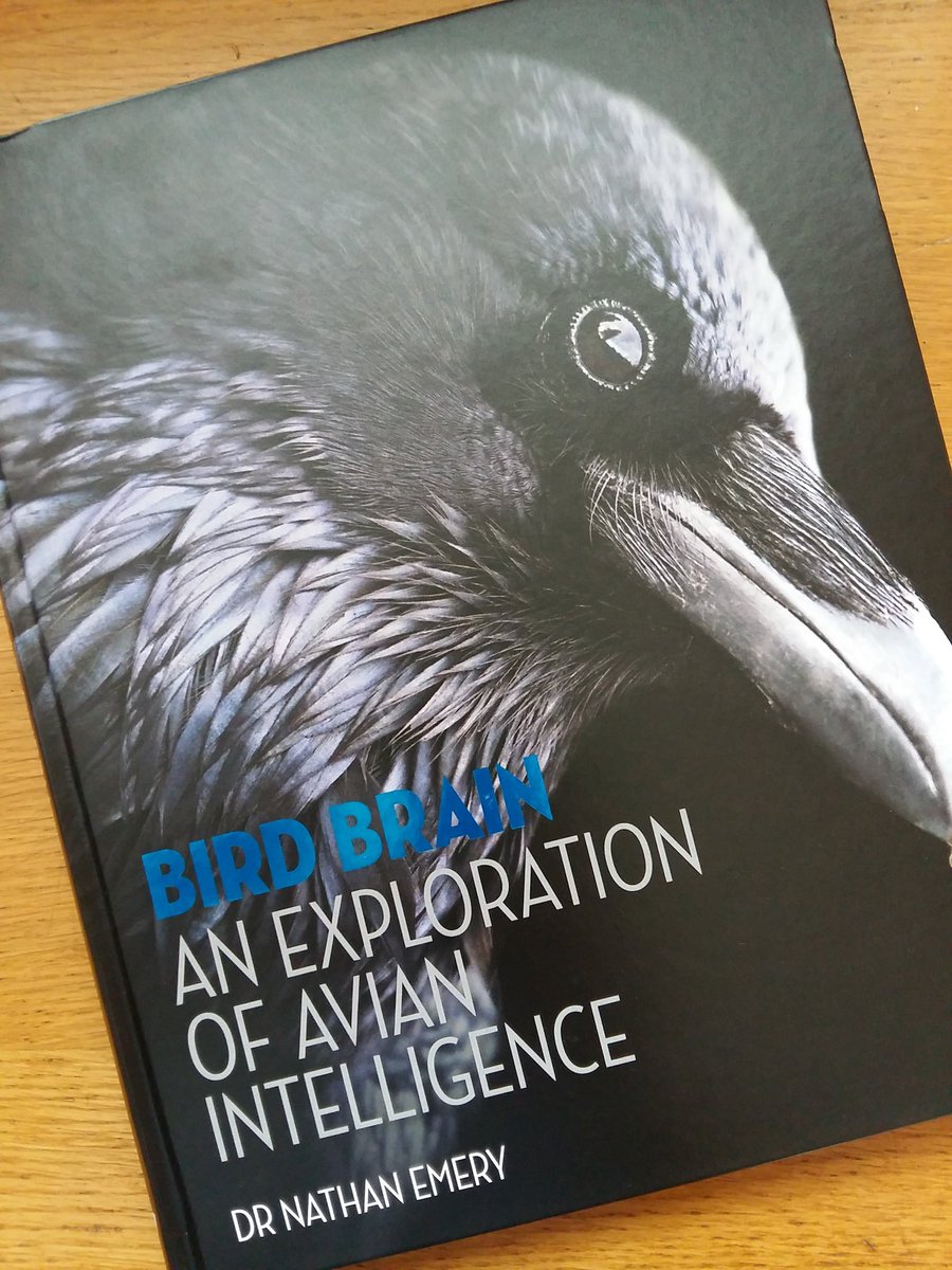 Very excited about getting a copy of <a href="/feathered_ape/">Dr Nathan Emery</a>'s new book in the post today. Thx to Graham at <a href="/Ivy_Press/">Ivy Press</a>