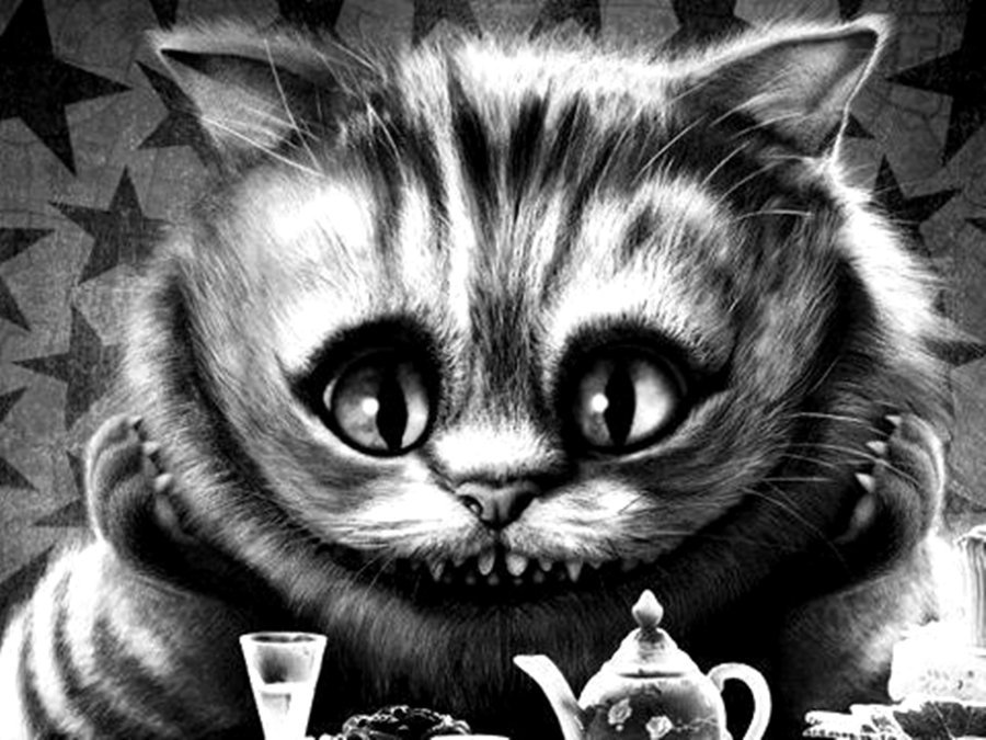 urlaredentro's tweet image. Questa insensata moda di essere #normali