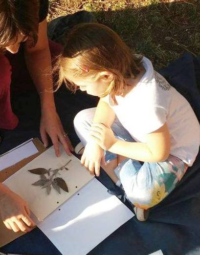 Ci vediamo il 7 #maggio per costruire un #Erbariomediterraneo al mercato di #CampagnaAmica del Circo Massimo!