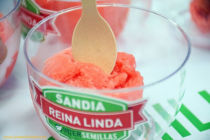 jaarcossanchez's tweet photo. Intersemillas convierte su Reina Linda en sorbete de sandía https://t.co/dgrXIyrZSK #ExpoLevanteNijar2016 #sandías https://t.co/mbFxNMrqNc
