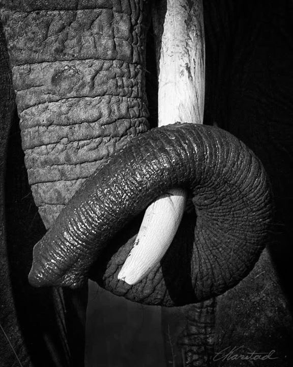 mikhailkuzi's tweet photo. Photo by Elsen Karstad. Sums it all up... #worthmorealive https://t.co/m3z8YKujqa